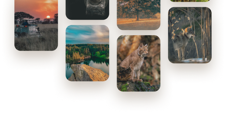Rewilding Group